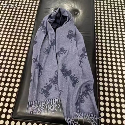 coach-scarf